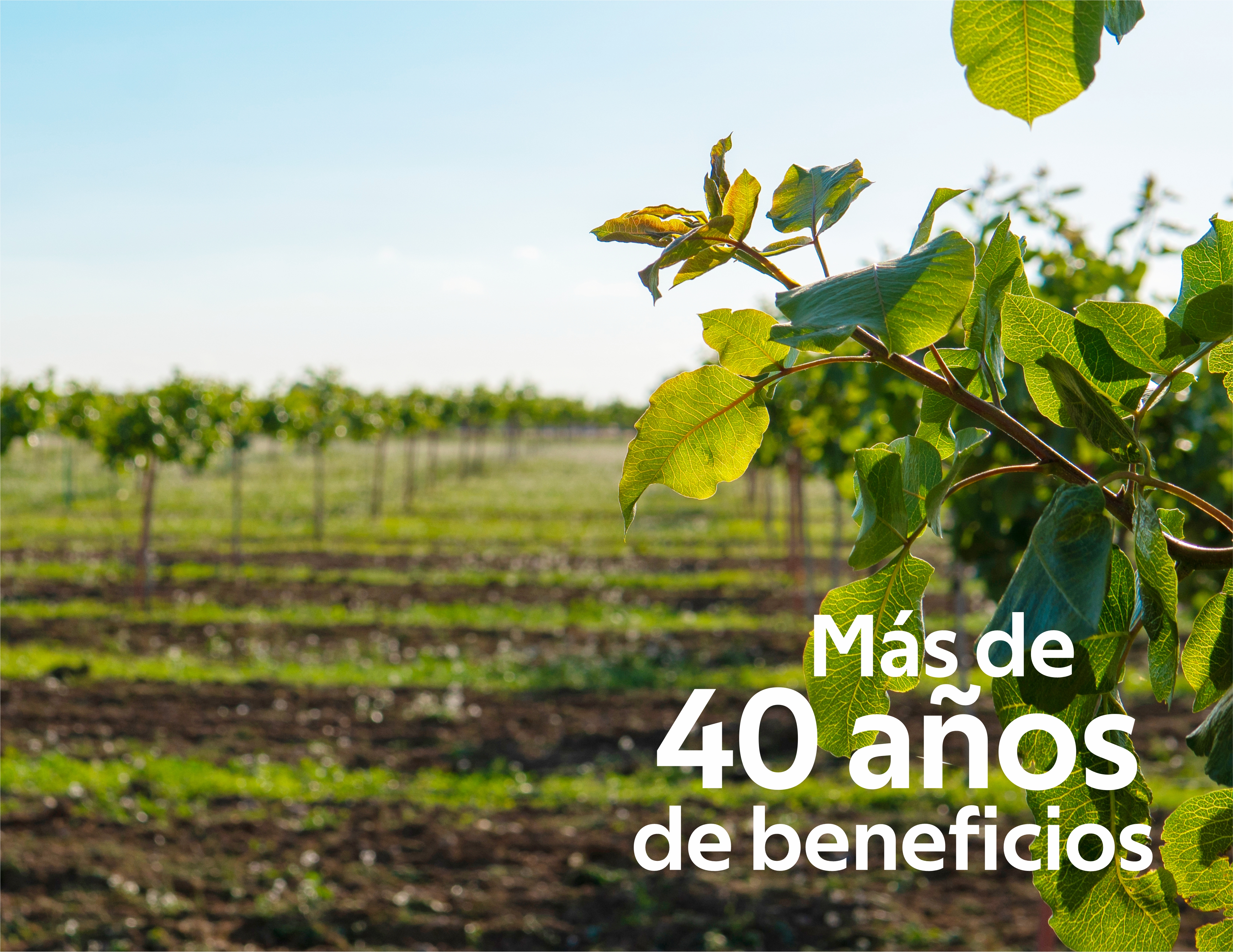 Beneficios de la inversión